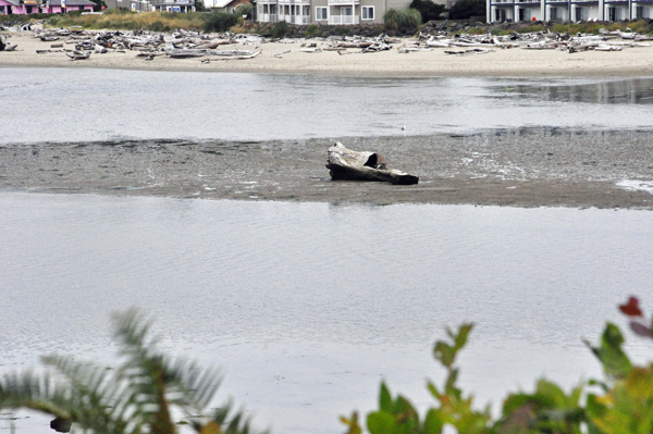 Siletz Bay